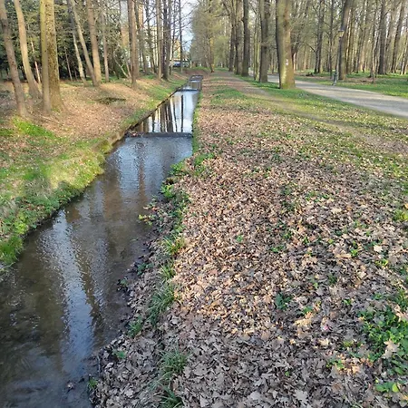 مكان تخييم Genius Żywiec