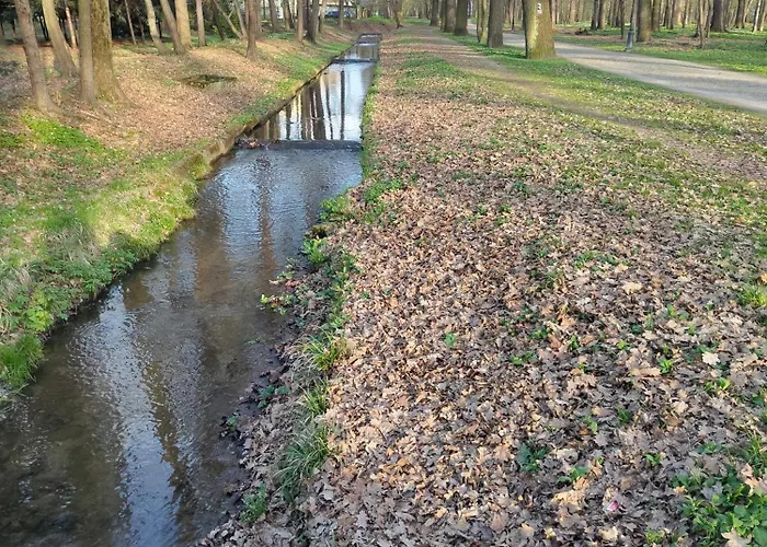 Campsite Genius Zywiec